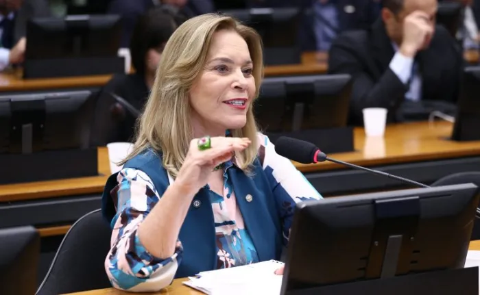 Vinicius Loures/Câmara dos Deputados
