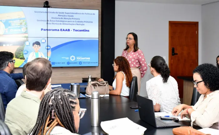 Reunião discutiu o fortalecimento das ações de promoção, a proteção e o apoio ao aleitamento materno, e ao alinhamento de estratégias interinstitucionais - Foto: Ananda Santos/Governo do Tocantins