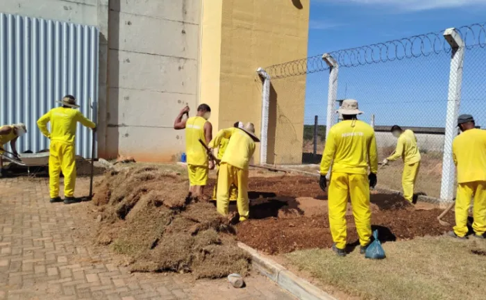 Cursos profissionalizantes fortalecem o combate à reincidência criminal - Foto: Seciju/Governo do Tocantins